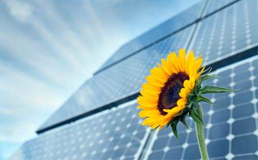 instalación de paneles fotovoltaicos